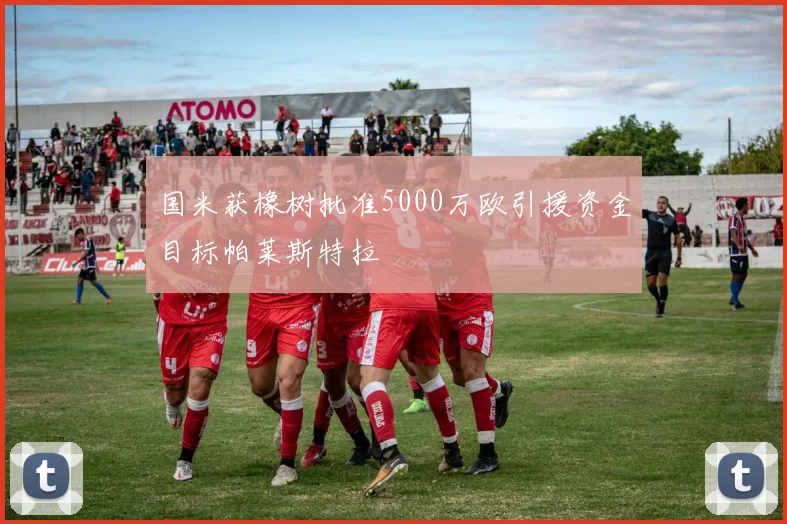 国米获橡树批准5000万欧引援资金目标帕莱斯特拉